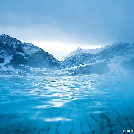 Seeblick By Interhome Daire Zell am See