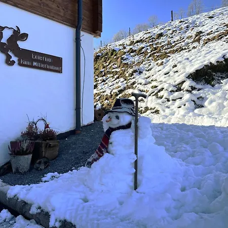 Seeblick By Interhome Daire *