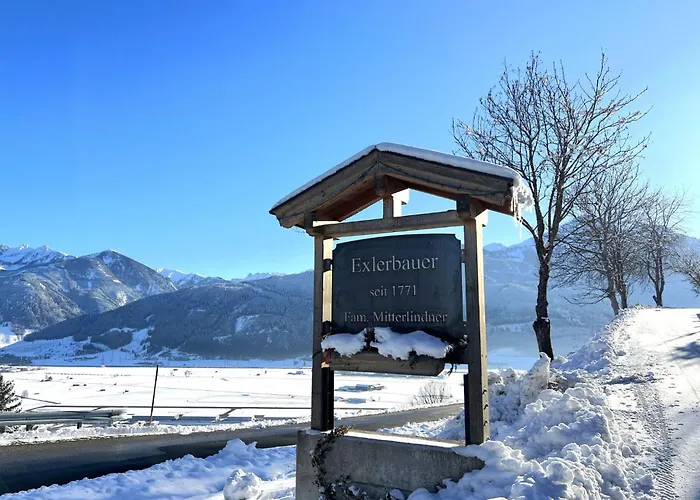 Seeblick By Interhome * Zell am See